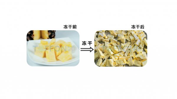 冻干机制作冻干菠萝的优势解析
