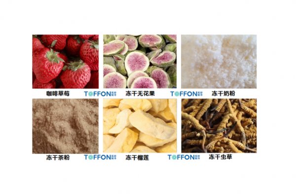 冻干生产线——从单机到交钥匙工程的解析