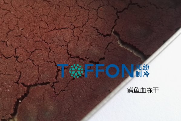 鳄鱼血、鳄鱼肉冷冻干燥机加工设备