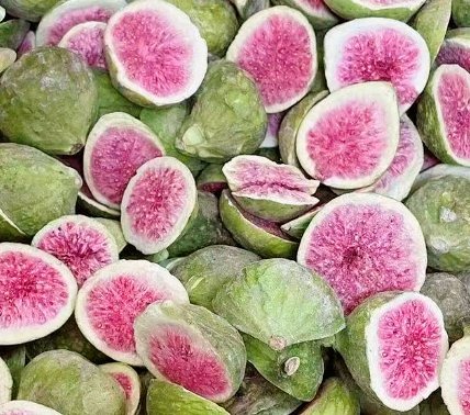 食品冻干机在无花果冻干的应用