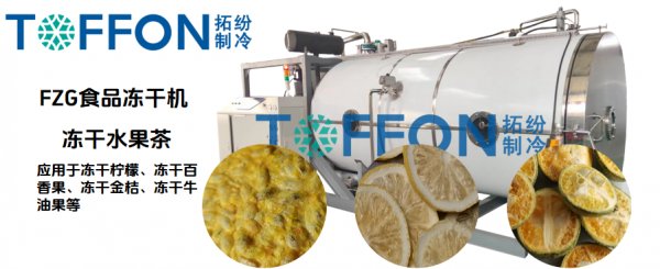 冷冻干燥机制作冻干水果茶