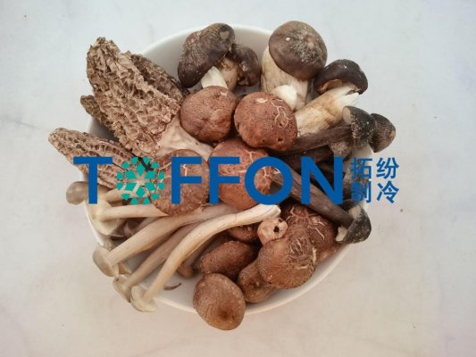 野生菌冻干机，鲜味与营养的保留