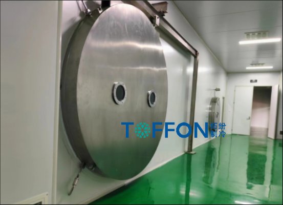 从单机到生产线——构建高效冻干机工程的关键