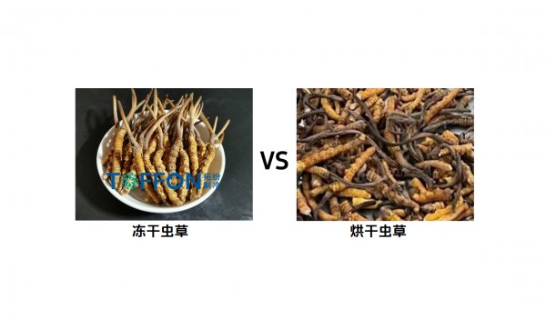 中药材食品冻干机：低温干燥保留活性成分
