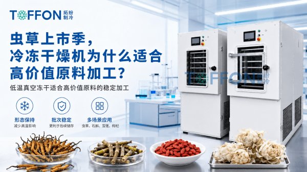 虫草上市季，冷冻干燥机为什么适合高价值原料加工？